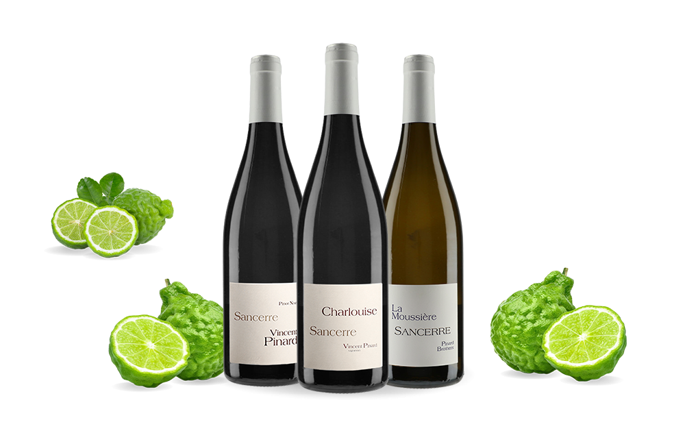 Vincent Pinard-cover