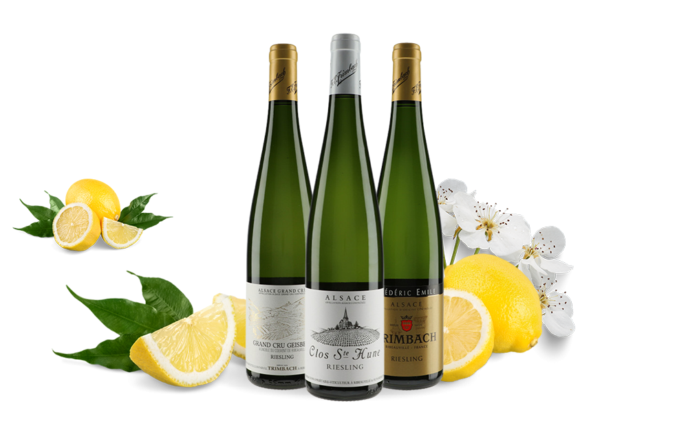 Domaine Trimbach-cover