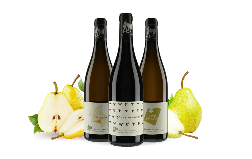 Domaine des Roches Neuves-cover