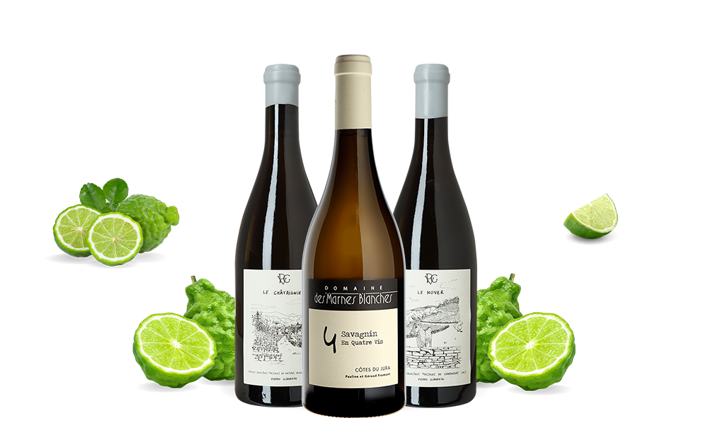 Pierre Girardin vs Marnes Blanches-cover