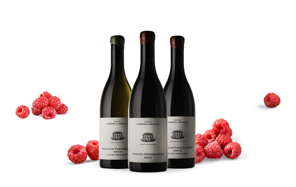 Chandon de Briailles-cover