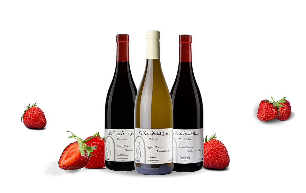 Domaine de la Porte Saint Jean-cover