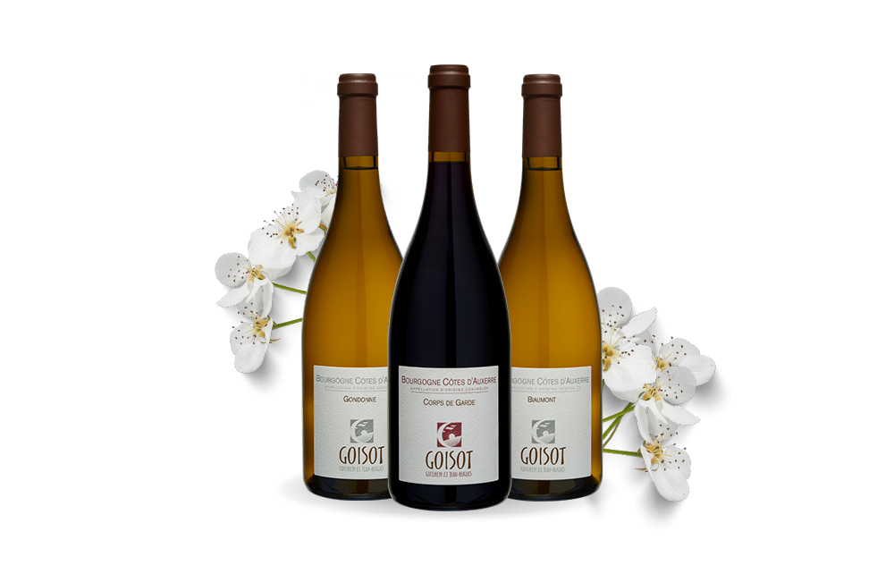 Domaine Goisot-cover