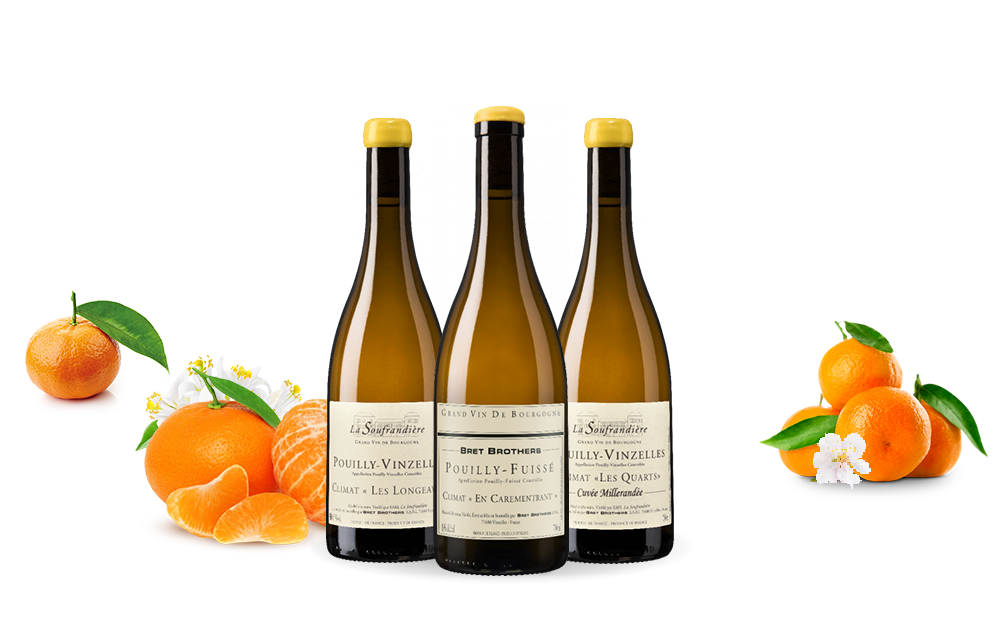 Domaine de la Soufrandière-cover