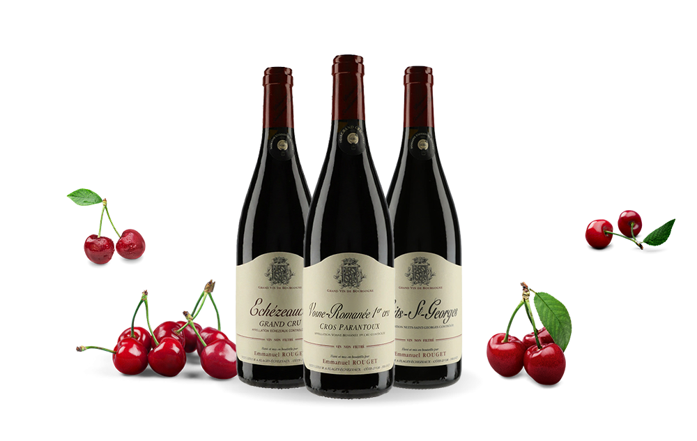 Domaine Emmanuel Rouget-cover