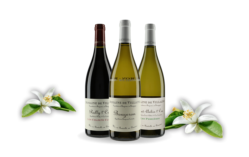 Domaine de Villaine-cover