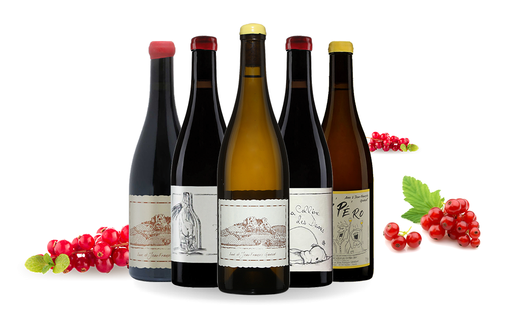 Anne et Jean-François Ganevat-cover