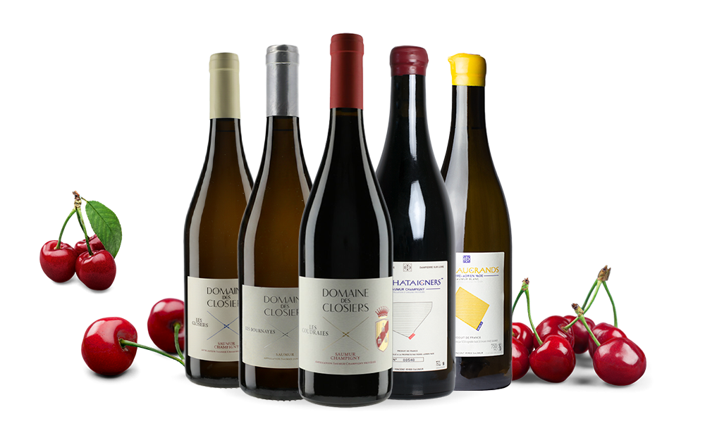 Pierre-Adrien Vadé vs Domaine des Closiers-cover