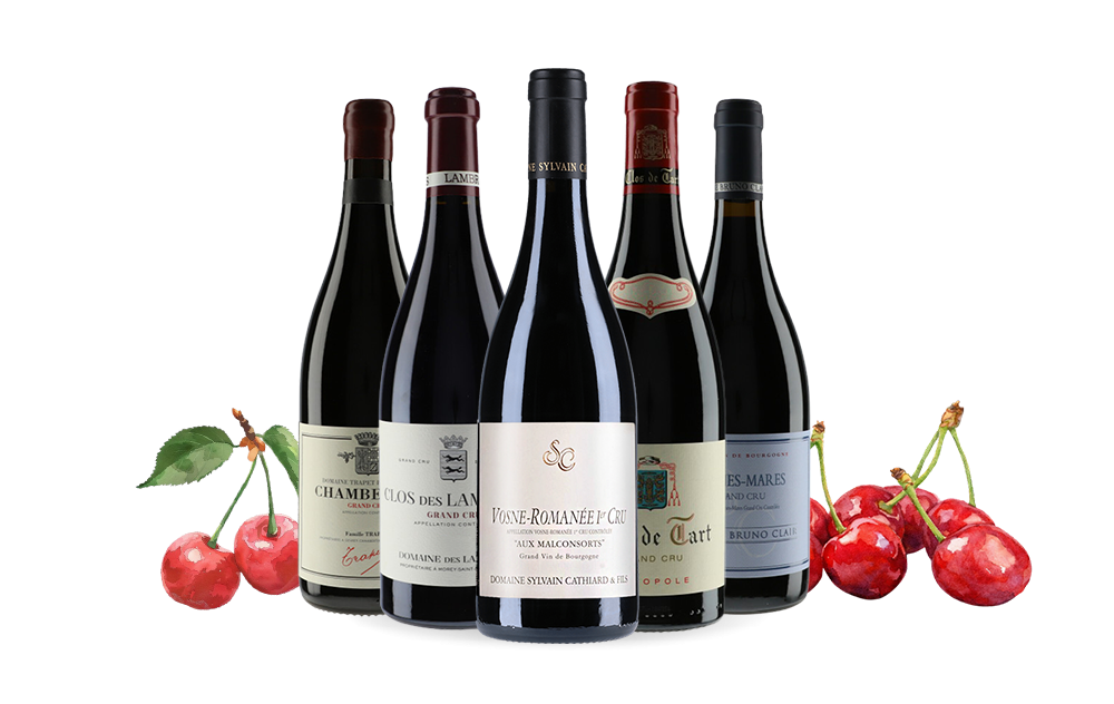 Icônes Côte de Nuits-cover