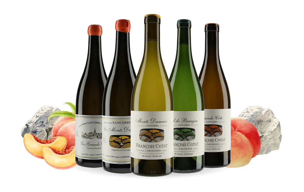 François & Pascal Cotat-cover