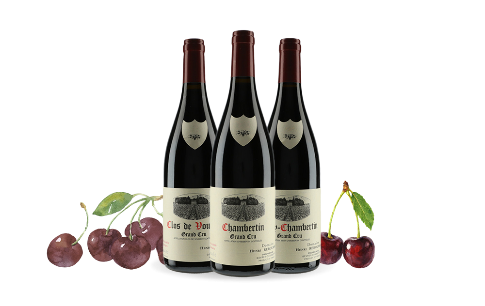 Domaine Henri Rebourseau-cover