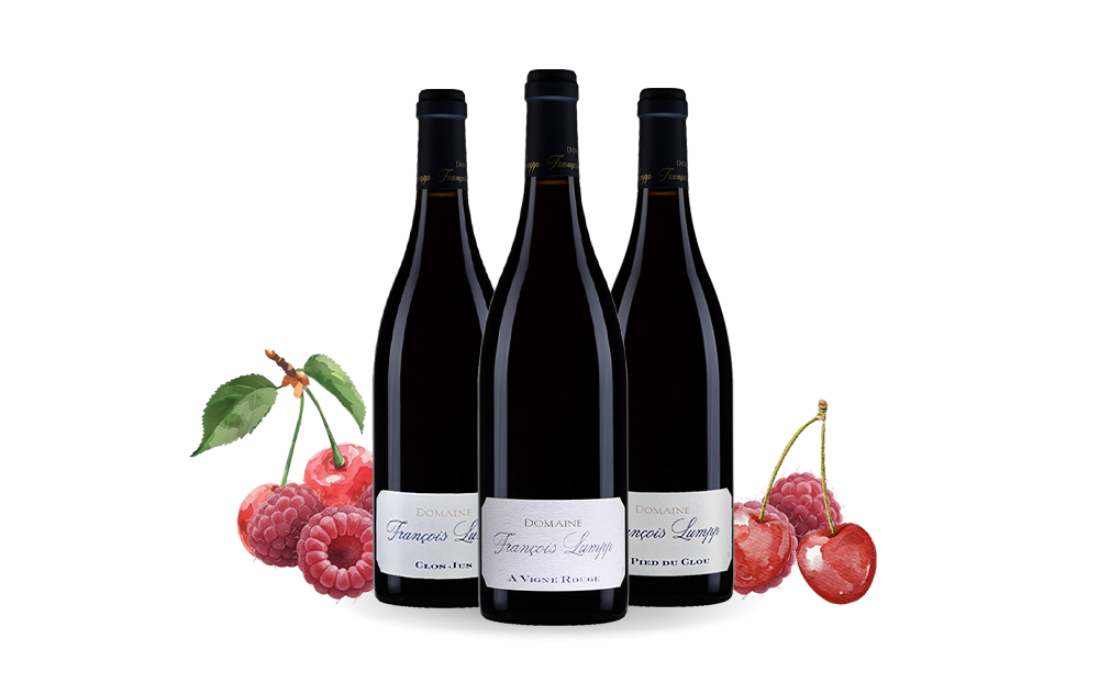 Domaine François Lumpp-cover