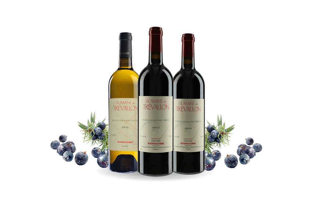 Domaine de Trévallon-cover