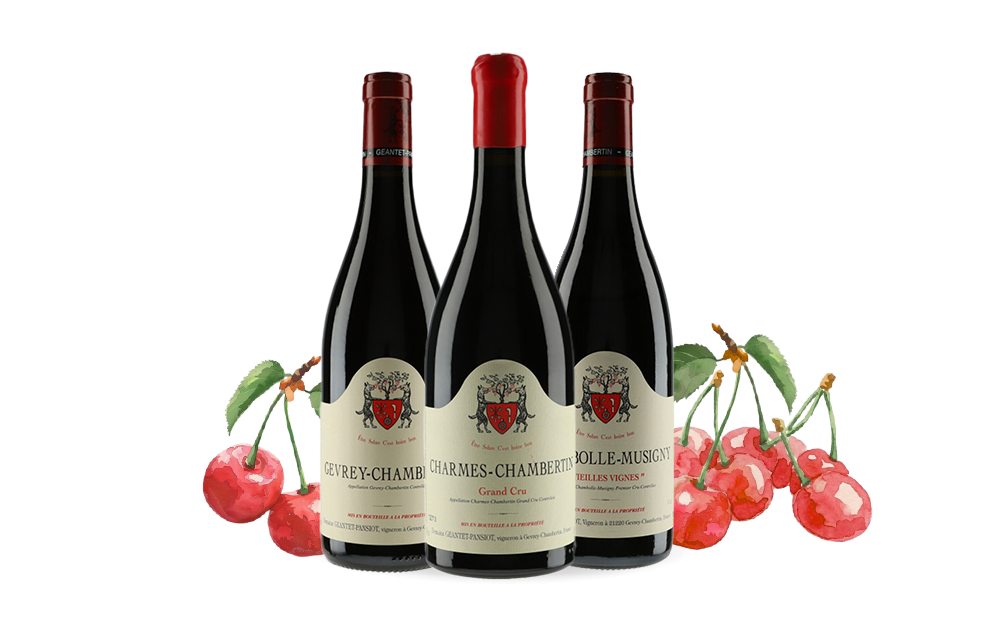 Domaine Geantet-Pansiot-cover