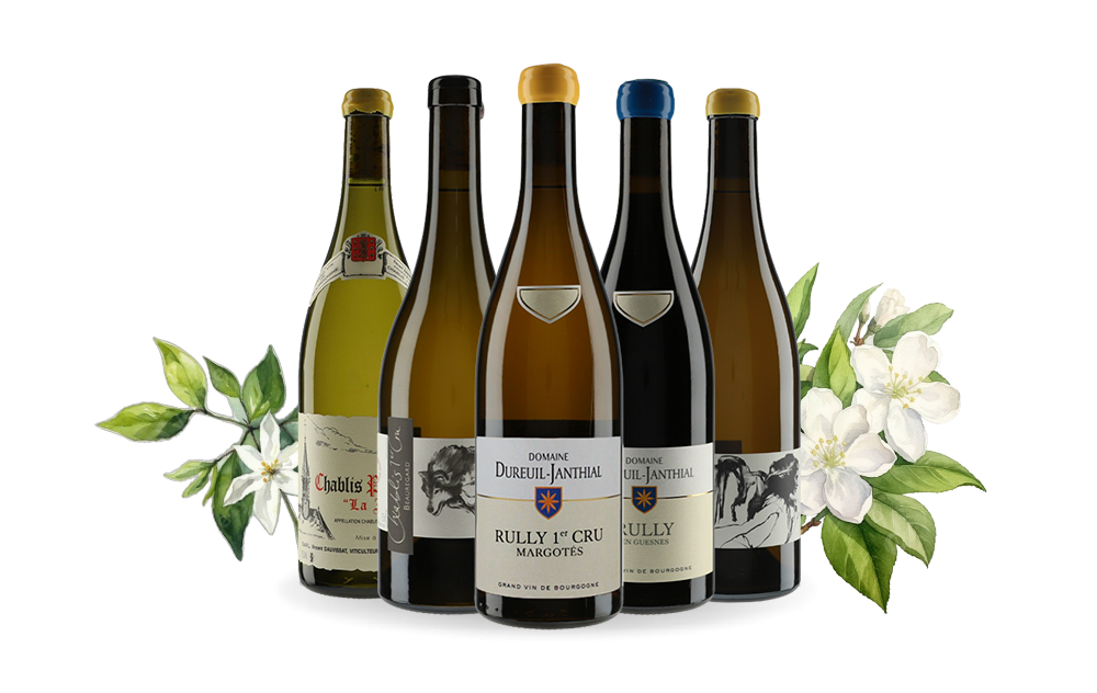 Trio Bourguignon-cover