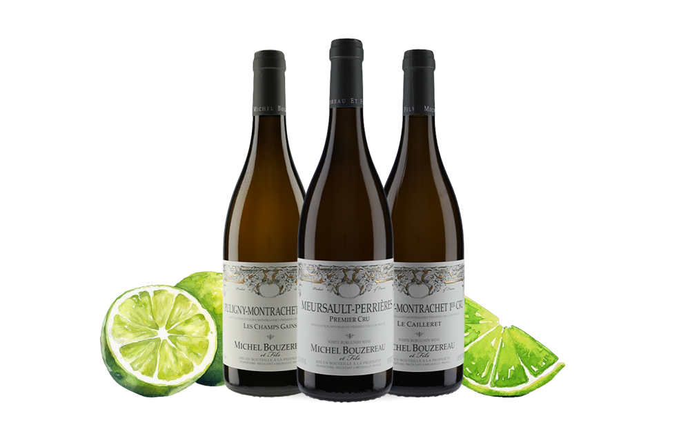 Domaine Michel Bouzereau-cover