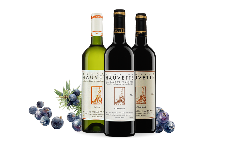 Domaine Hauvette-cover