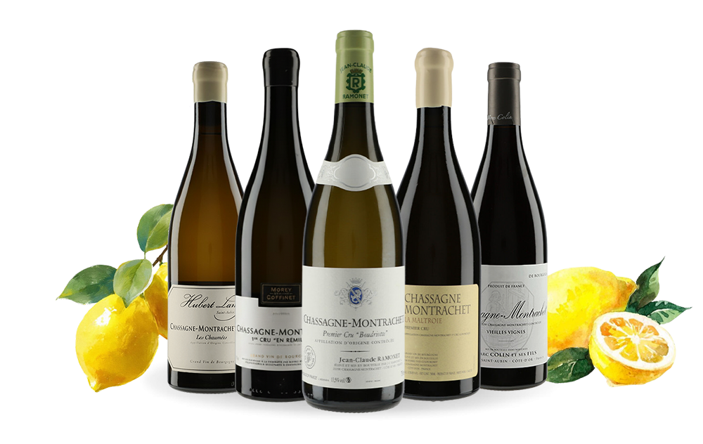 Chassagne-Montrachet-cover