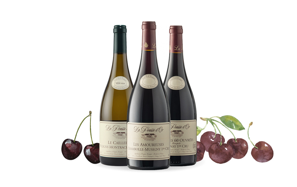 Domaine de la Pousse d'Or-cover