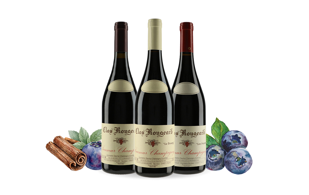 Clos Rougeard-cover