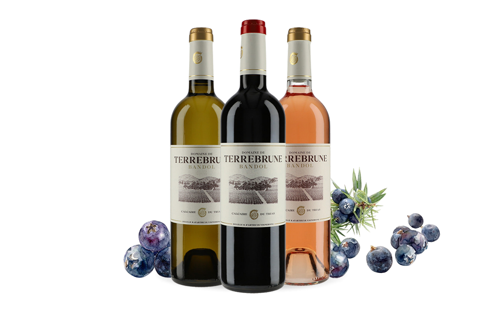 Domaine de Terrebrune-cover