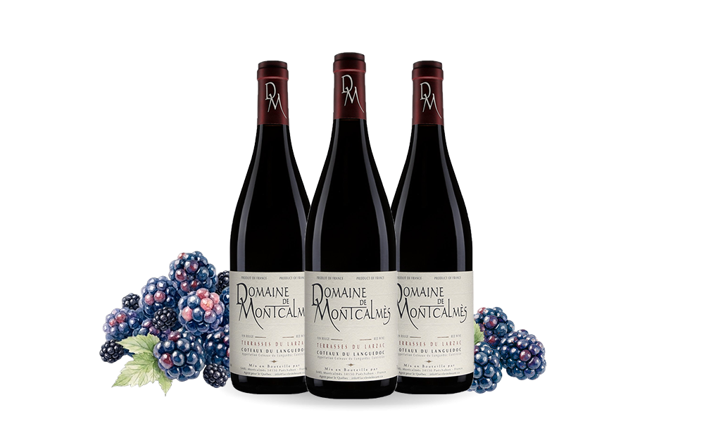 Domaine de Montcalmès-cover