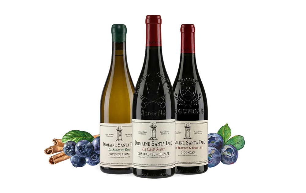Domaine Santa Duc-cover