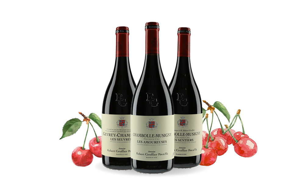 Domaine Robert Groffier-cover