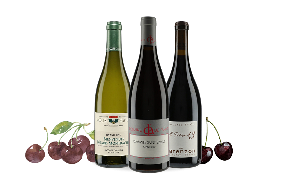 Domaine de l'Arlot Jacques Carillon Bruno Lorenzon-cover
