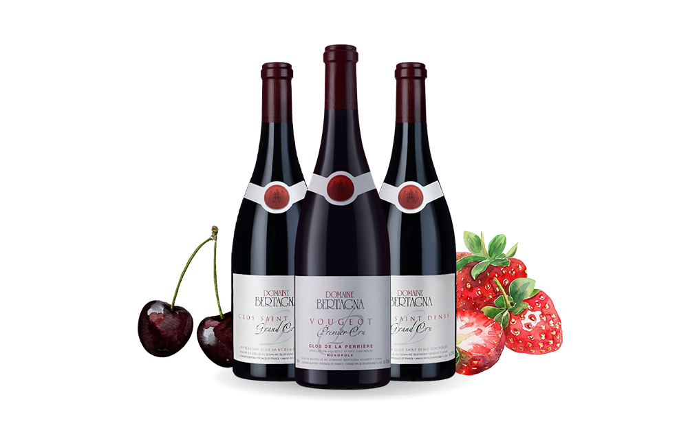 Domaine Bertagna-cover