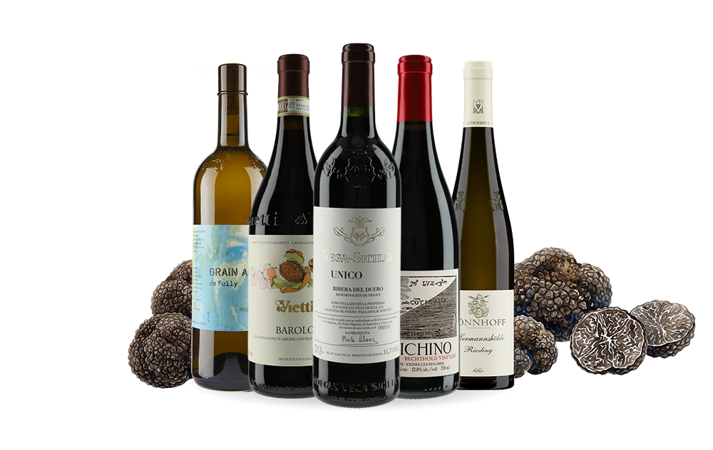 Vins du Monde-cover