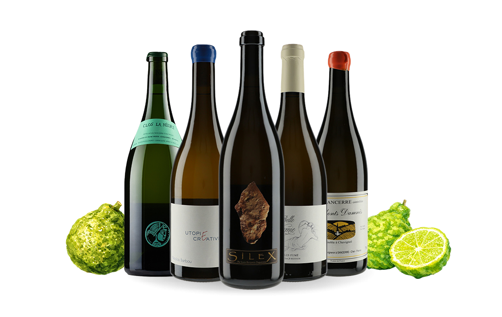 Grands Sauvignon-cover