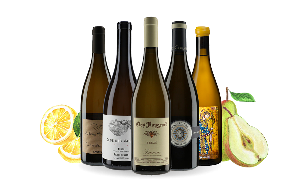 100% Chenin-cover