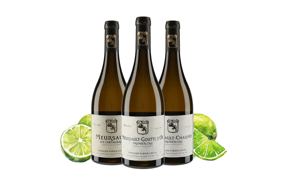 Domaine Fabien Coche-cover