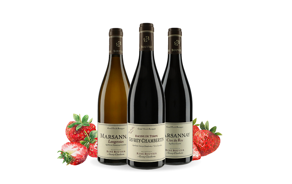 Domaine René Bouvier-cover