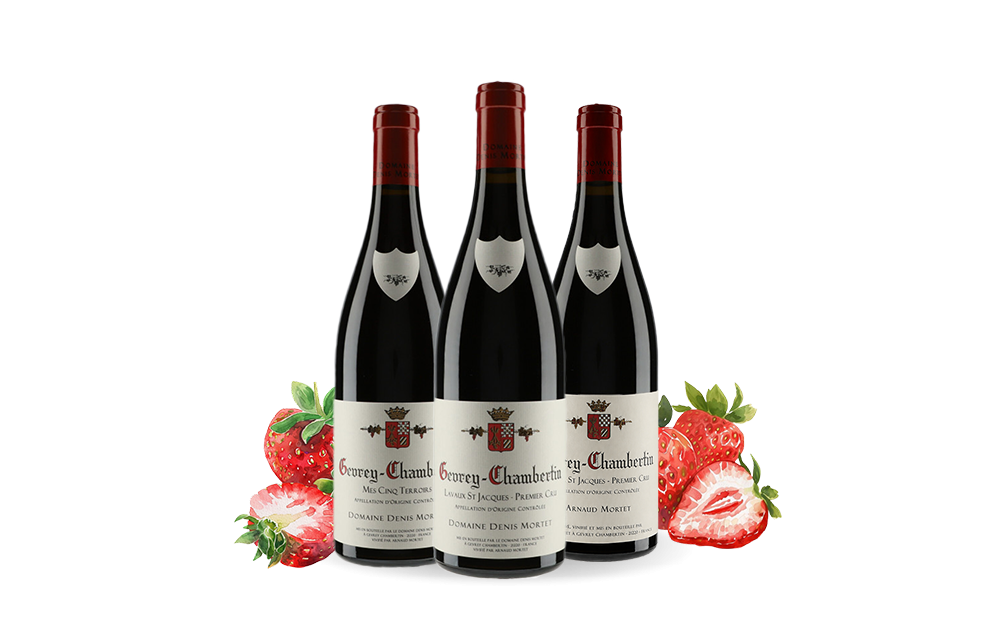Domaine Mortet-cover