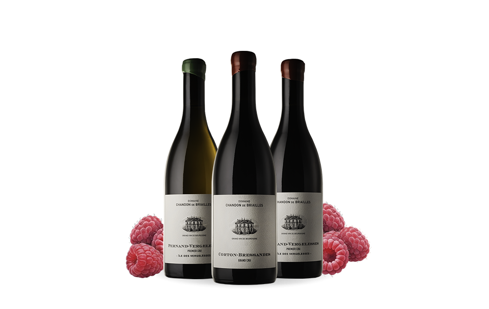 Chandon de Briailles-cover