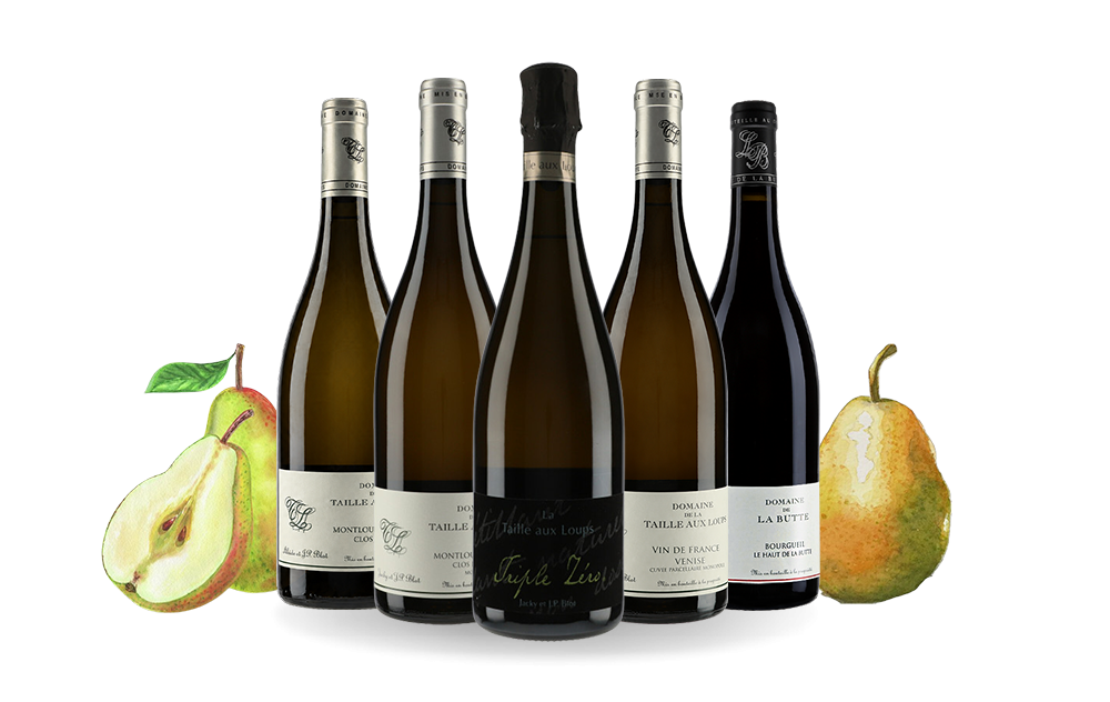 Domaine de la Taille aux Loups-cover