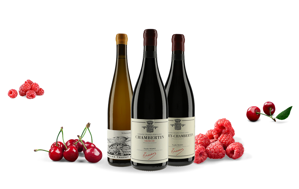 Domaine Trapet-cover