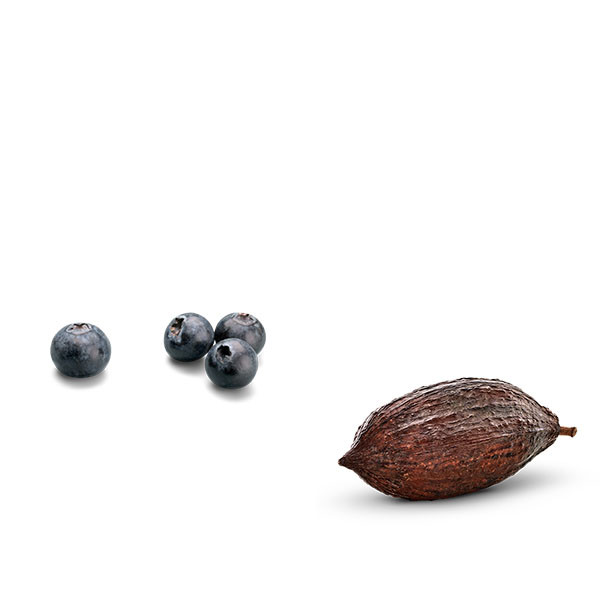 Elio Altare-thumbnail