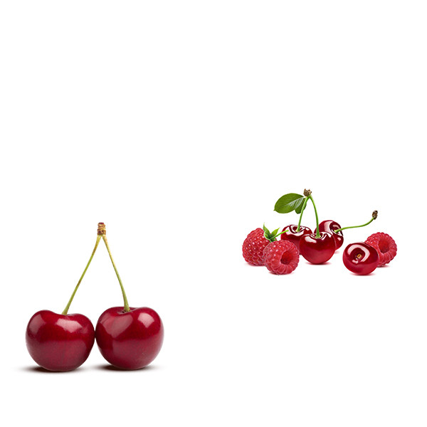Domaine Dujac vs Domaine Hubert Lignier-thumbnail