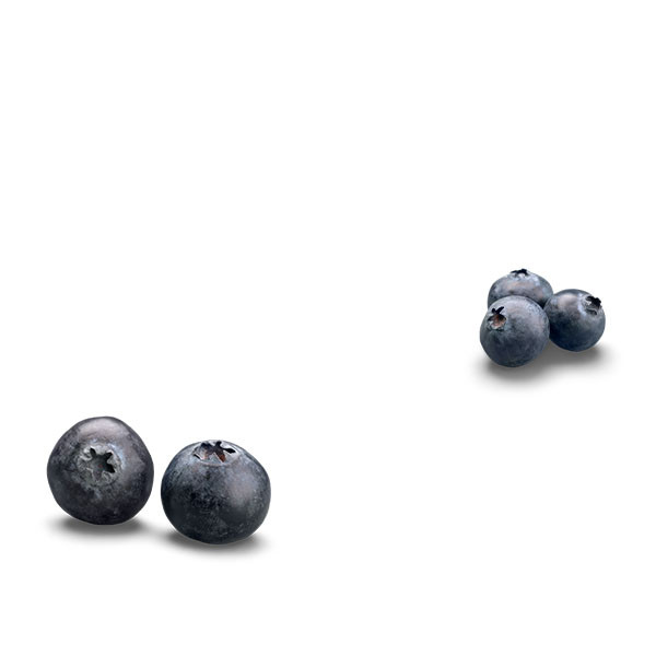 Alain Graillot-thumbnail