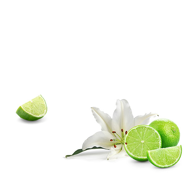 Hubert Lamy-thumbnail