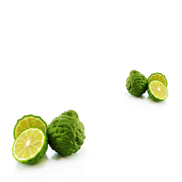 Jean-Paul & Benoît Droin-thumbnail