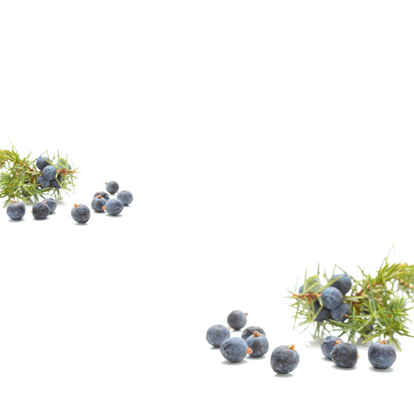 Domaine de Trévallon-thumbnail