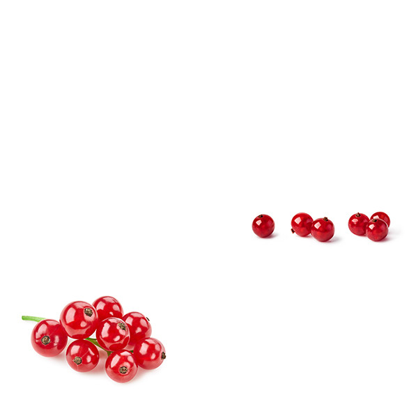 Domaine Bruno Clair-thumbnail