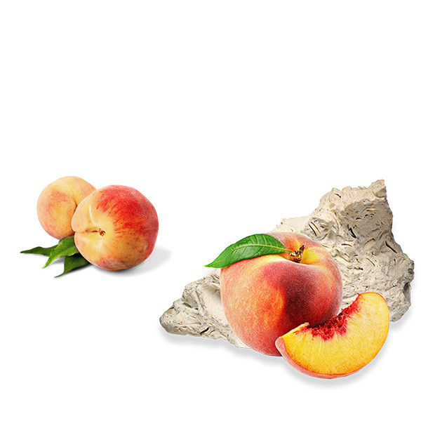 François Cotat vs Pascal Cotat-thumbnail