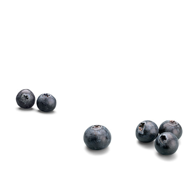 Domaine de la Grange des Pères-thumbnail