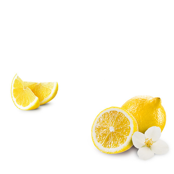 Sélection de fêtes : vins blancs-thumbnail