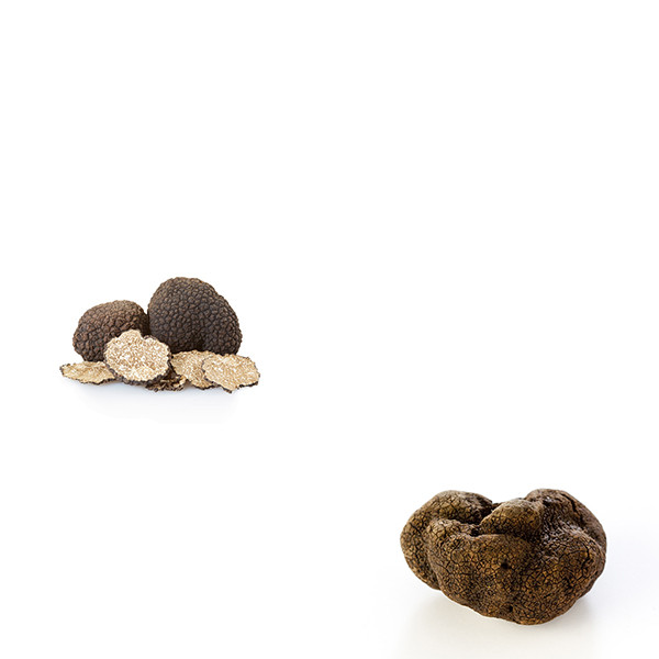 Grands Formats-thumbnail